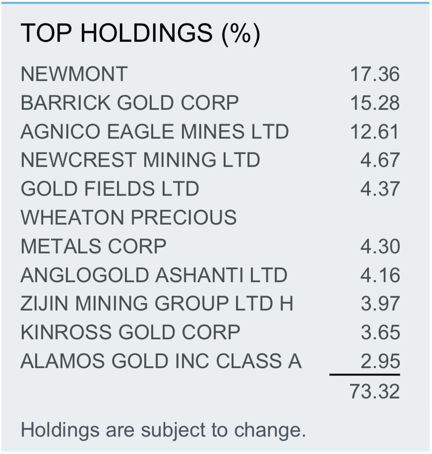 Componentes ETF RING