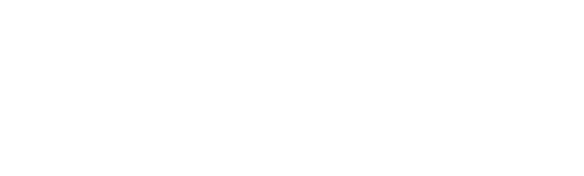 INN LOGO WHITE R