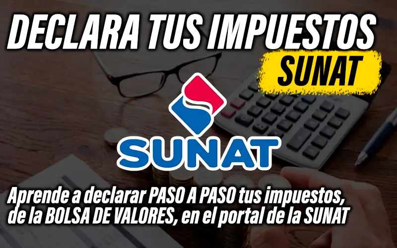 Declara tus Impuestos Sunat